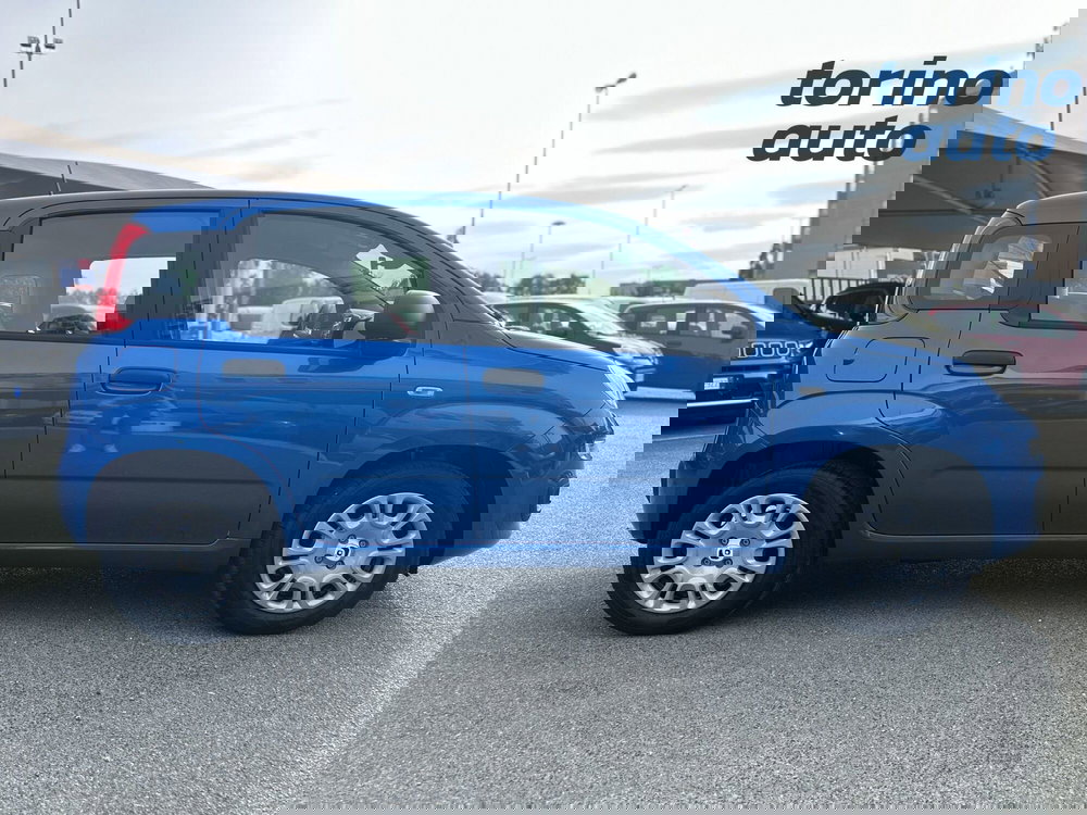 Fiat Panda Cross nuova a Cuneo (8)