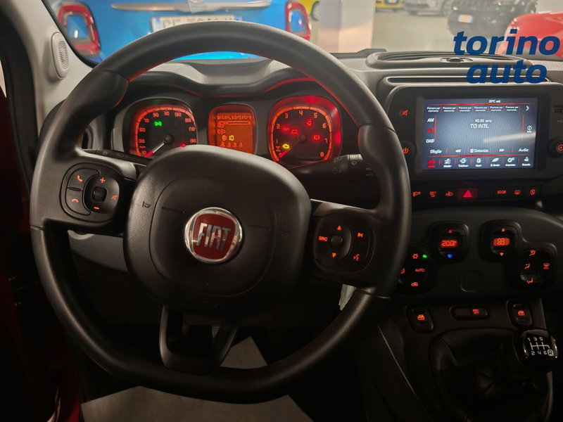 Fiat Panda Cross usata a Cuneo (11)