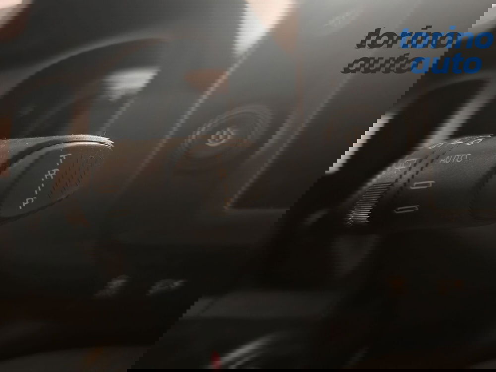 Fiat Panda Cross usata a Cuneo (20)