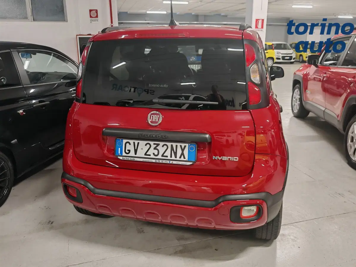 Fiat Panda Cross usata a Cuneo (5)