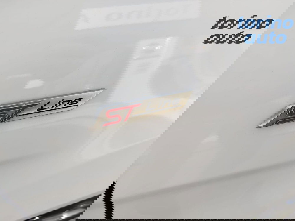 Ford EcoSport usata a Cuneo (12)