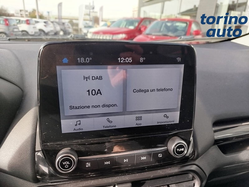 Ford EcoSport usata a Cuneo (16)