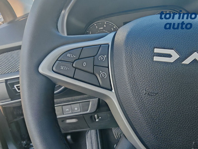 Dacia Sandero nuova a Torino (18)