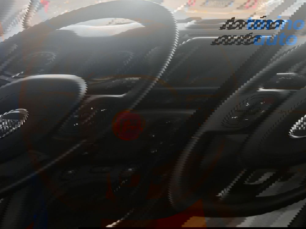 Fiat Panda Cross usata a Torino (10)