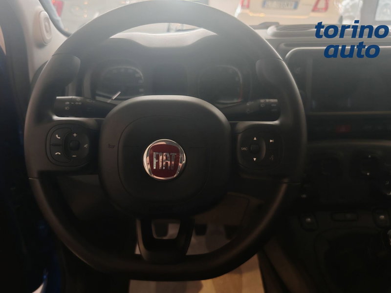 Fiat Panda Cross usata a Torino (10)