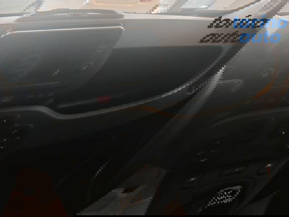 Fiat Panda Cross usata a Torino (11)