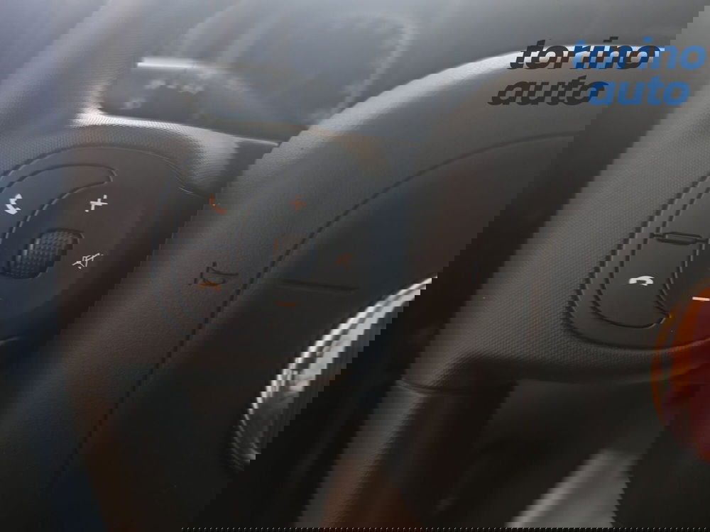 Fiat Panda Cross usata a Torino (12)