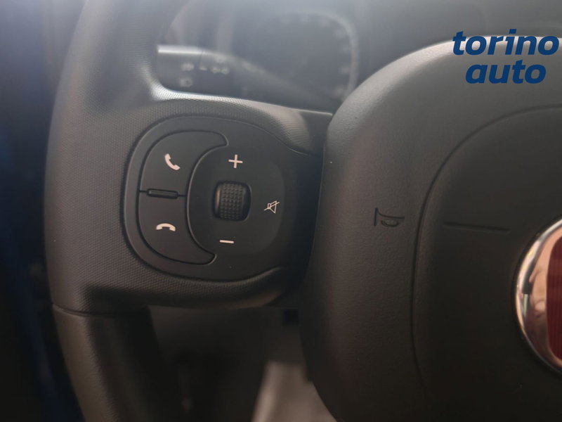 Fiat Panda Cross usata a Torino (12)