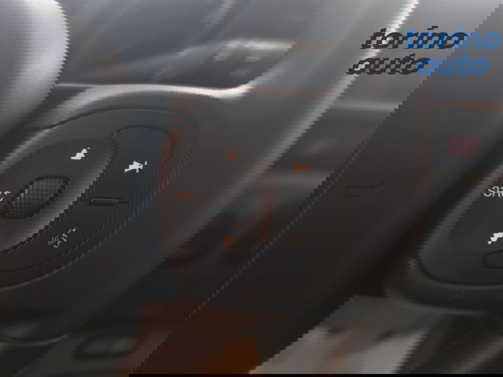 Fiat Panda Cross usata a Torino (13)