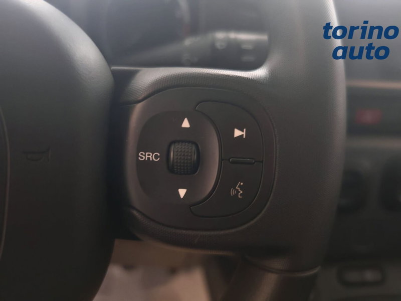 Fiat Panda Cross usata a Torino (13)