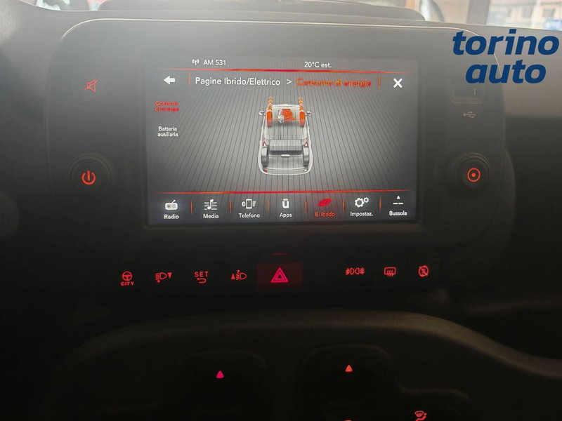 Fiat Panda Cross usata a Torino (15)