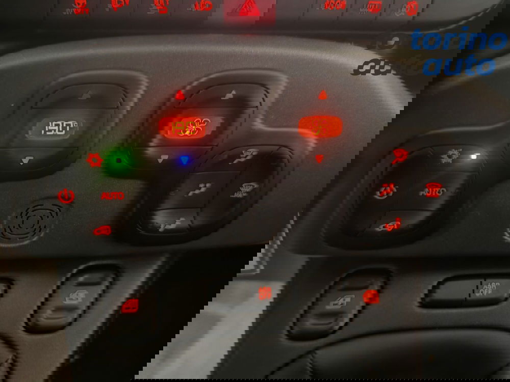 Fiat Panda Cross usata a Torino (17)