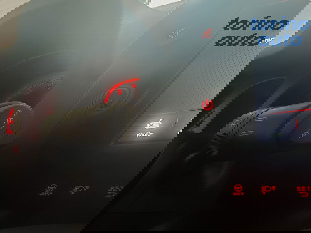 Fiat Panda Cross usata a Torino (19)