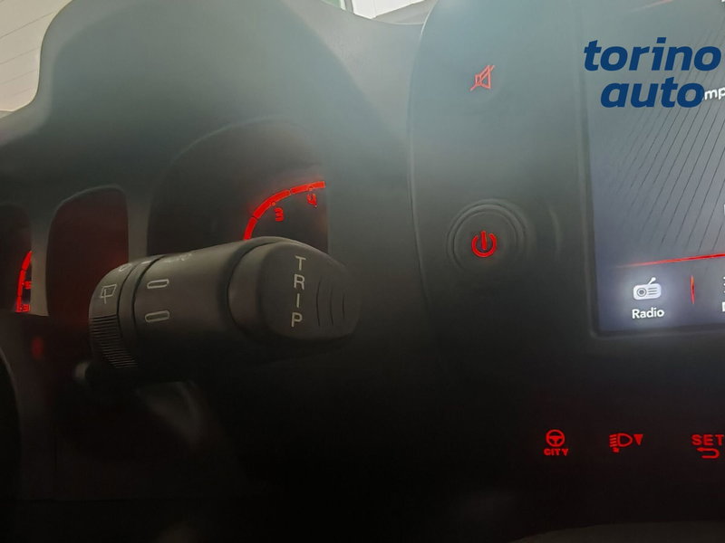 Fiat Panda Cross usata a Torino (19)
