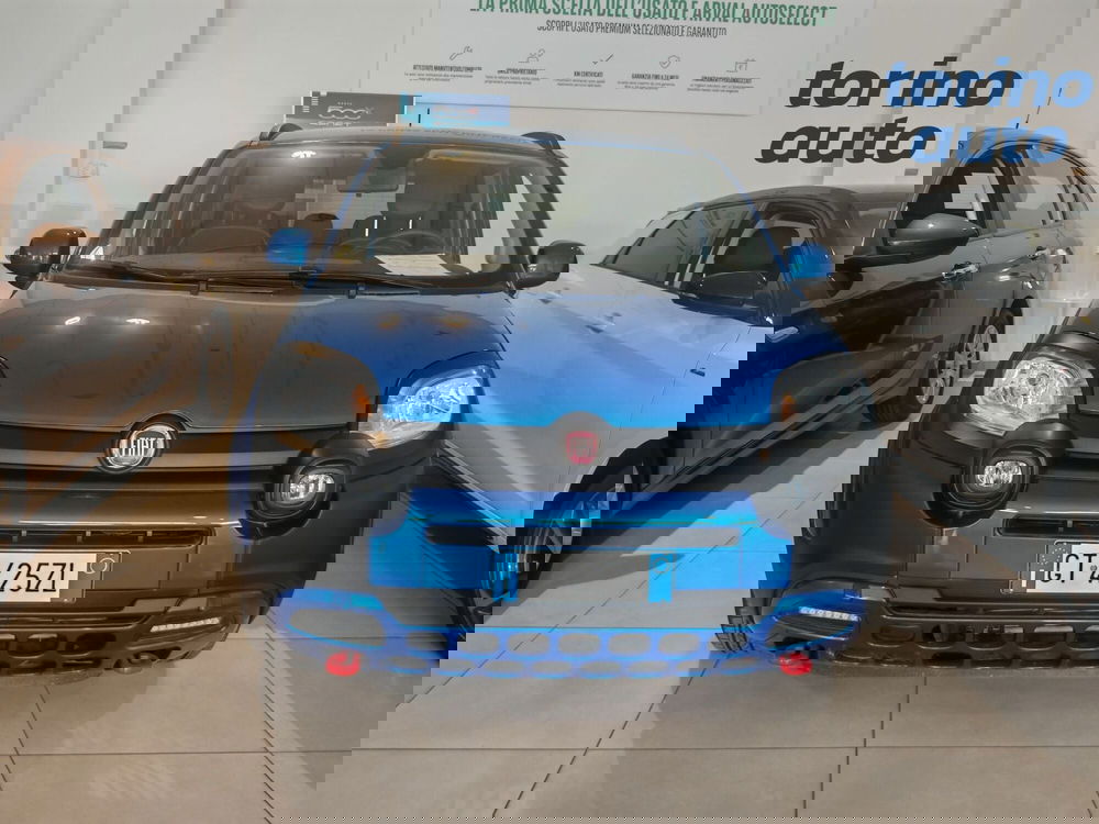 Fiat Panda Cross usata a Torino (2)