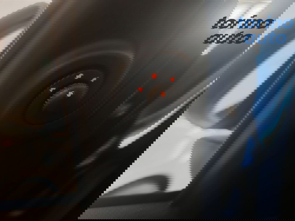 Fiat Panda Cross usata a Torino (20)