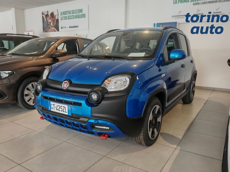 Fiat Panda Cross usata a Torino (3)