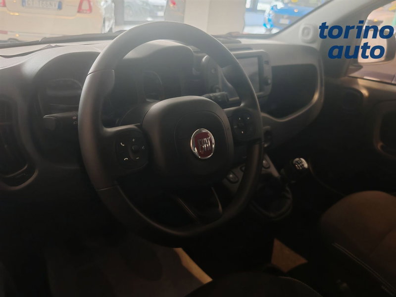 Fiat Panda Cross usata a Torino (7)