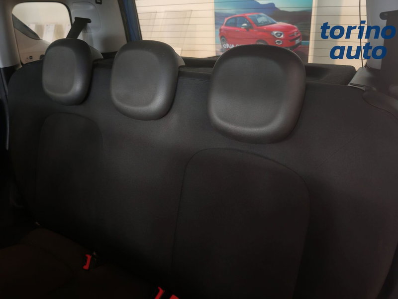 Fiat Panda Cross usata a Torino (9)