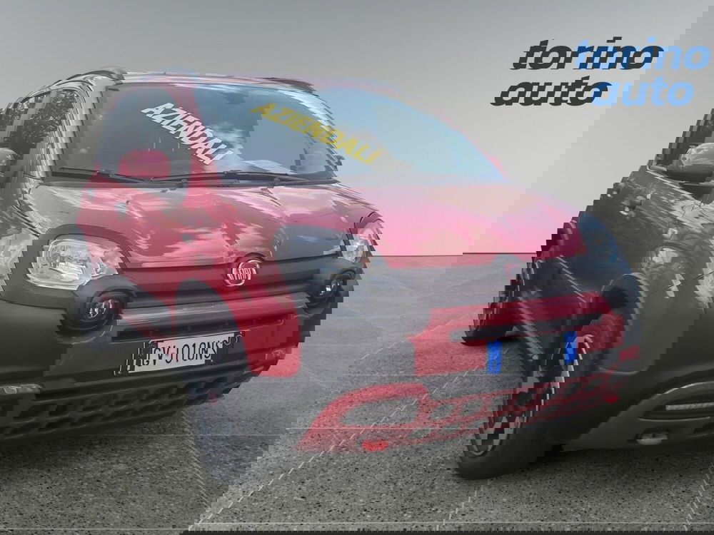 Fiat Panda Cross usata a Torino