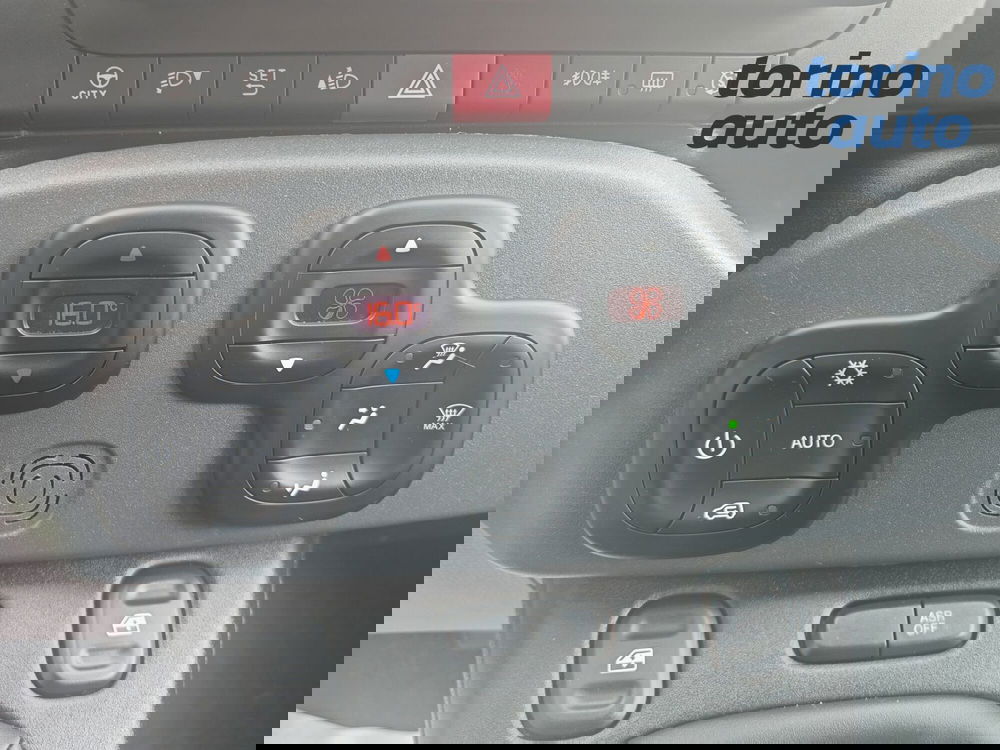 Fiat Panda Cross usata a Torino (16)