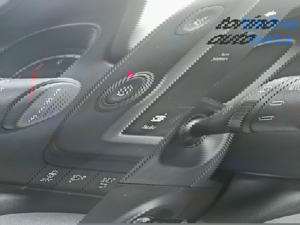 Fiat Panda Cross usata a Torino (17)