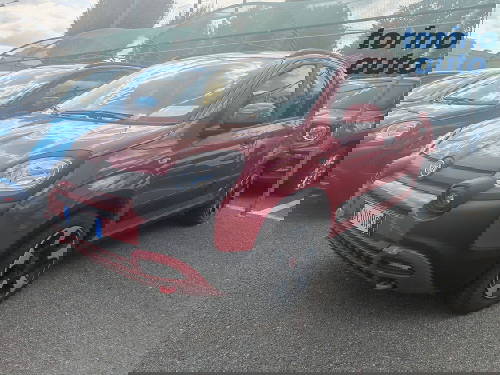 Fiat Panda Cross usata a Torino (3)