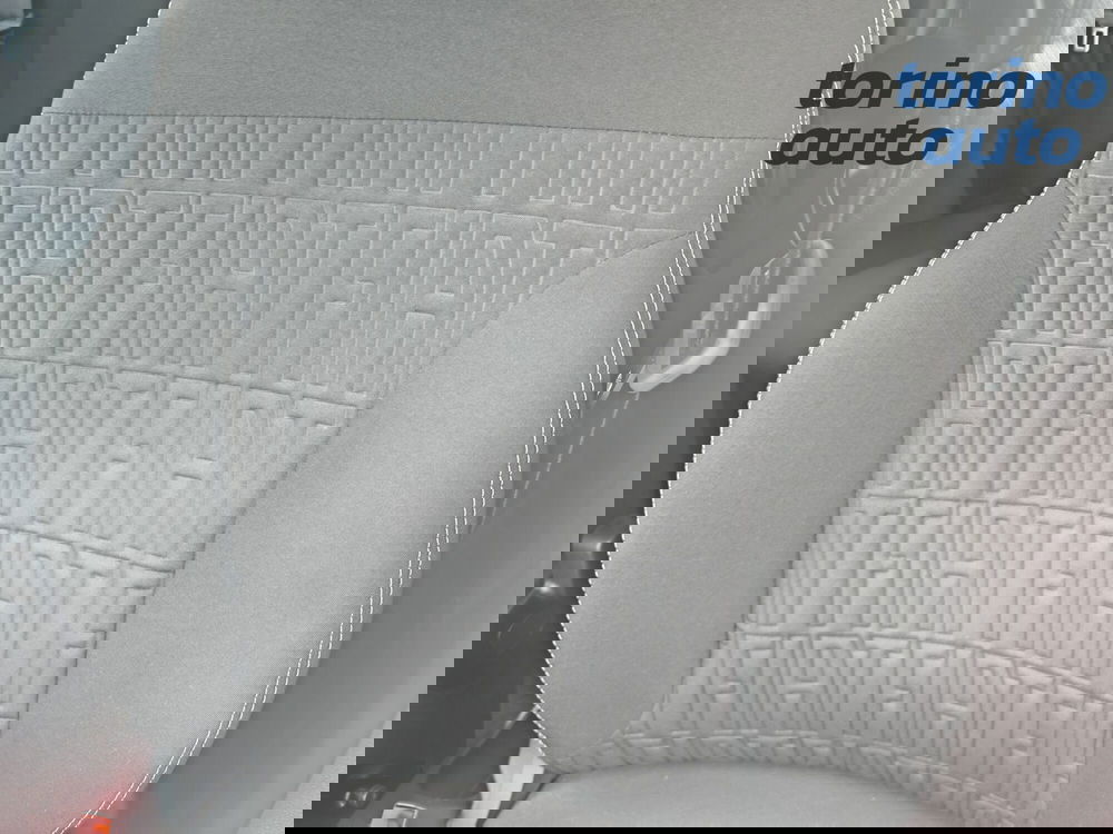 Fiat Panda Cross usata a Torino (9)