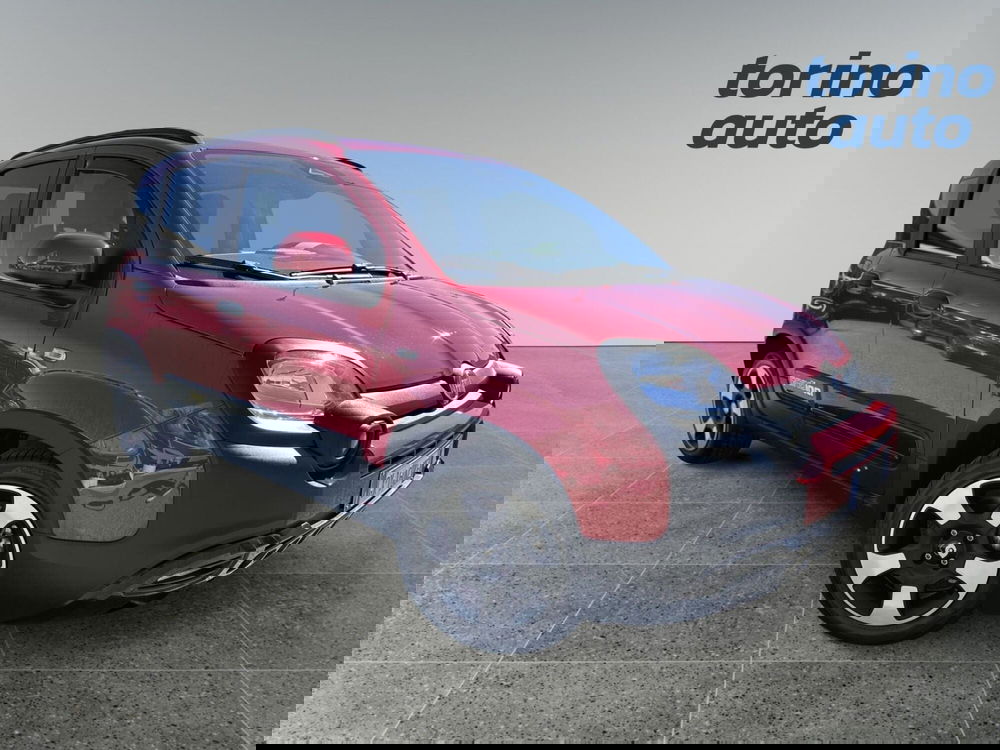 Fiat Panda Cross usata a Torino