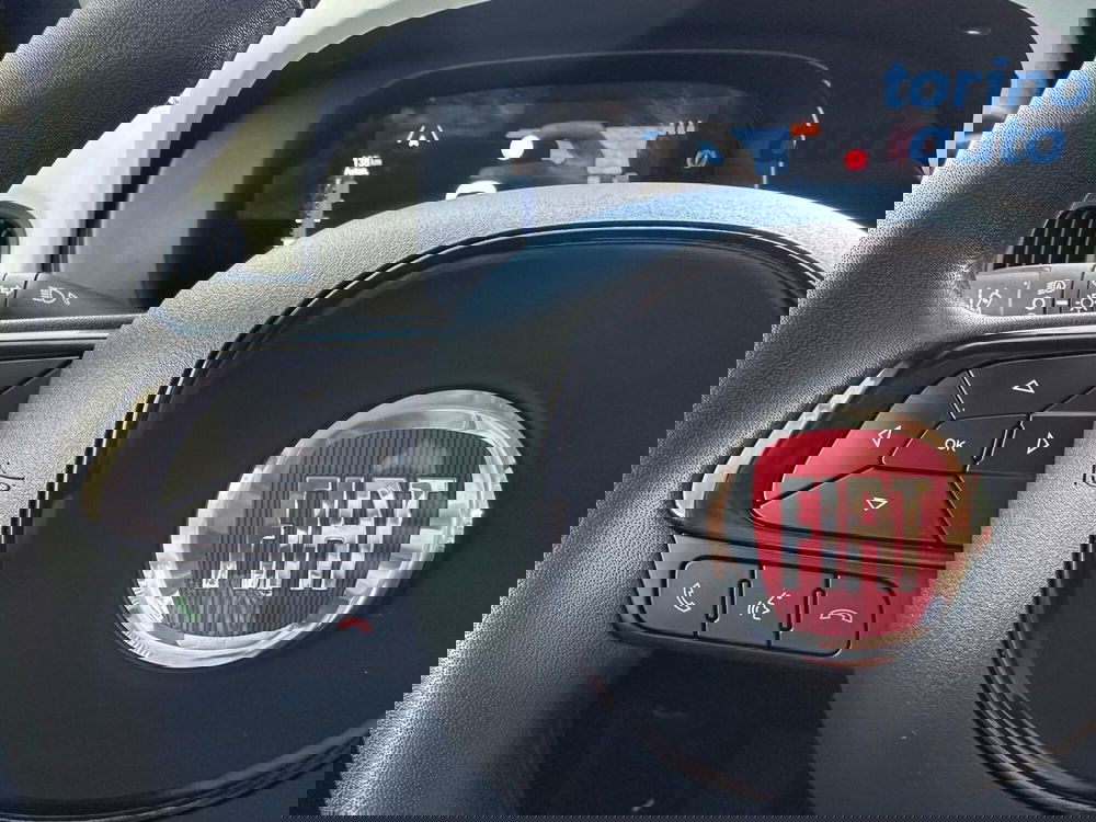 Fiat Panda Cross usata a Torino (16)