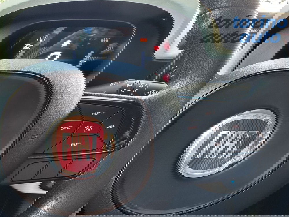 Fiat Panda Cross usata a Torino (17)