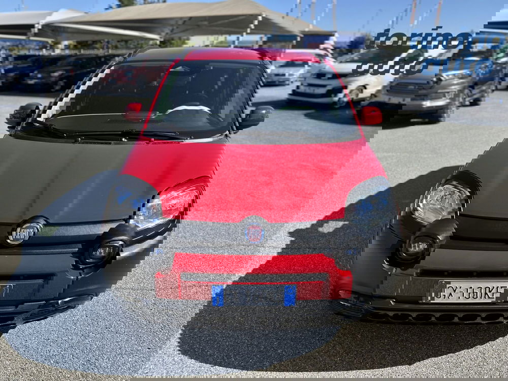 Fiat Panda Cross usata a Torino (2)