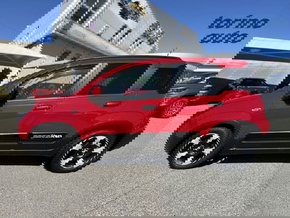 Fiat Panda Cross usata a Torino (4)