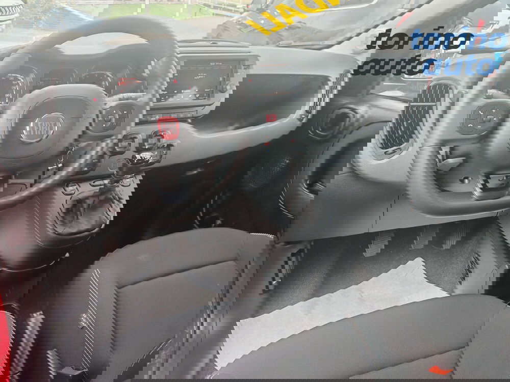 Fiat Panda Cross usata a Torino (11)