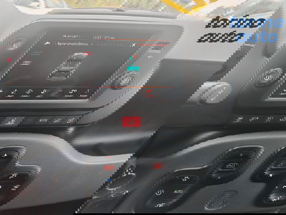 Fiat Panda Cross usata a Torino (19)