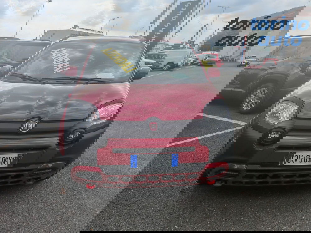 Fiat Panda Cross usata a Torino (2)