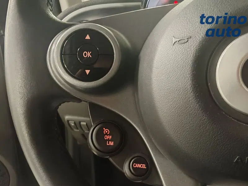 smart Fortwo usata a Torino (13)