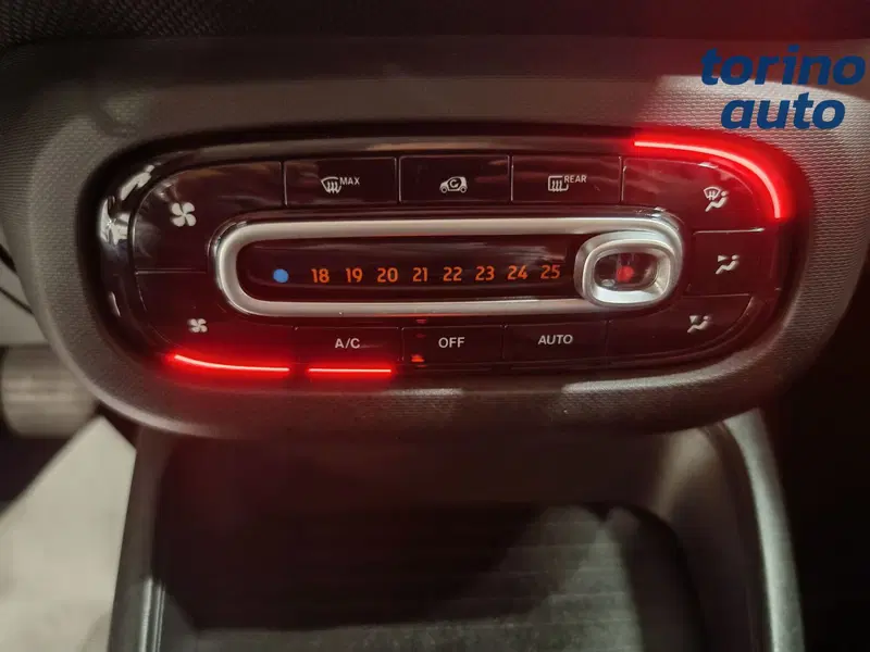 smart Fortwo usata a Torino (19)