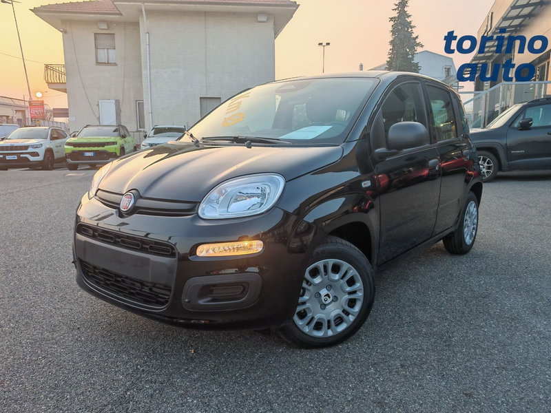 Fiat Panda Cross nuova a Torino (3)
