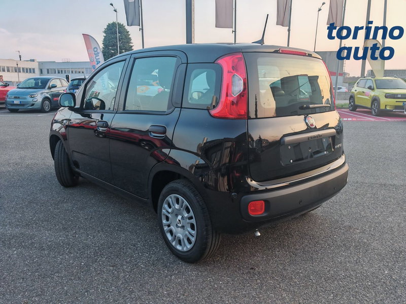 Fiat Panda Cross nuova a Torino (4)