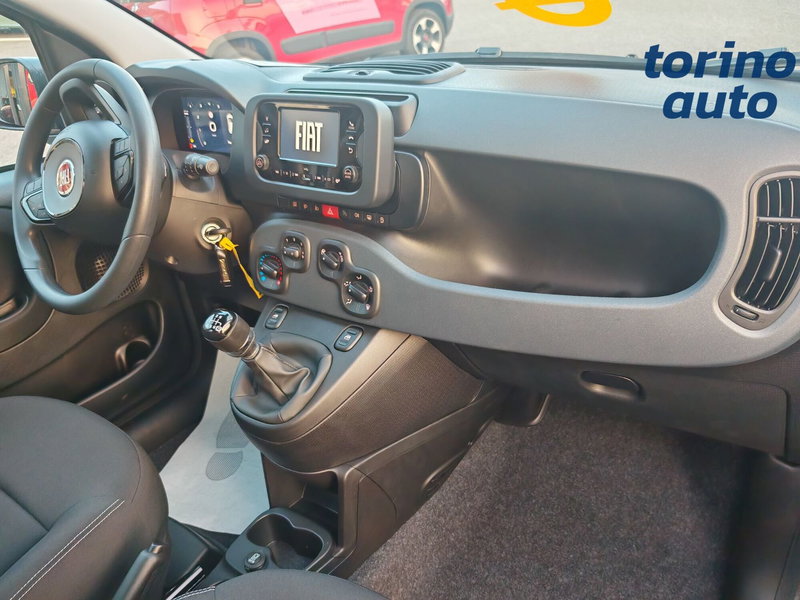 Fiat Panda Cross nuova a Torino (7)