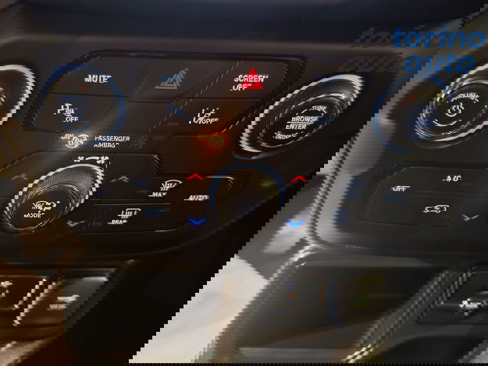 Jeep Renegade usata a Torino (19)