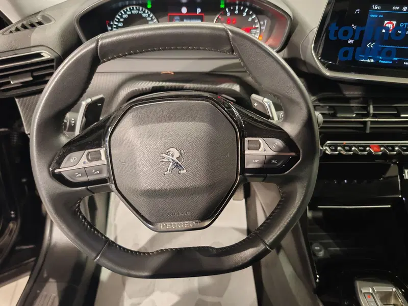Peugeot 2008 usata a Torino (11)