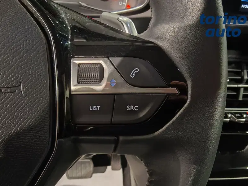 Peugeot 2008 usata a Torino (14)