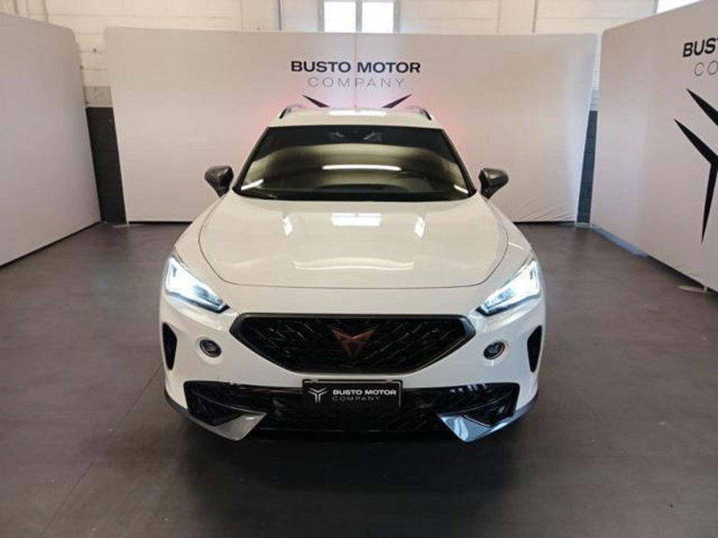 Cupra Formentor usata a Varese (2)