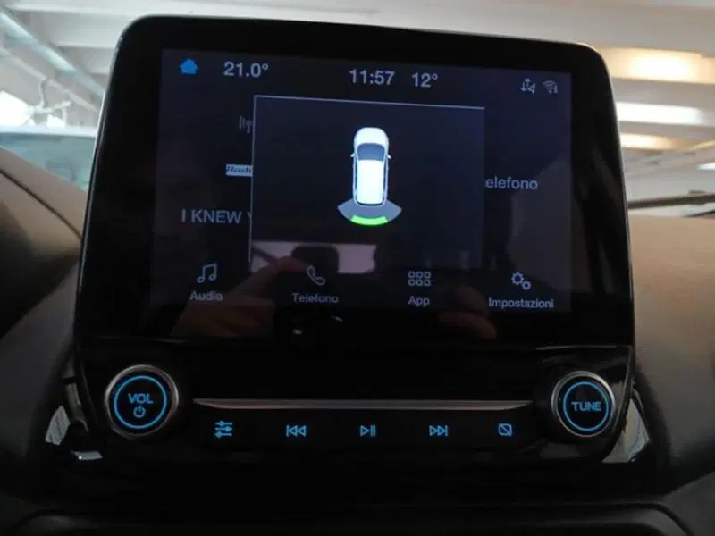 Ford EcoSport usata a Varese (16)