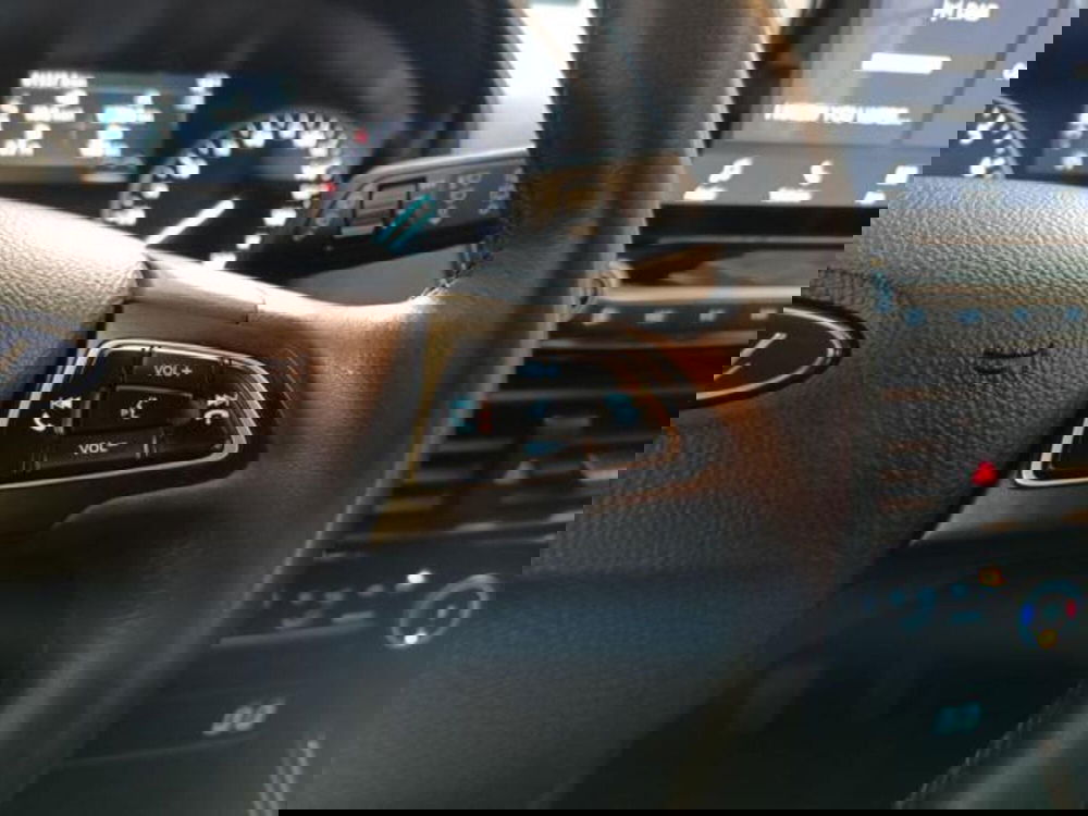 Ford EcoSport usata a Varese (18)