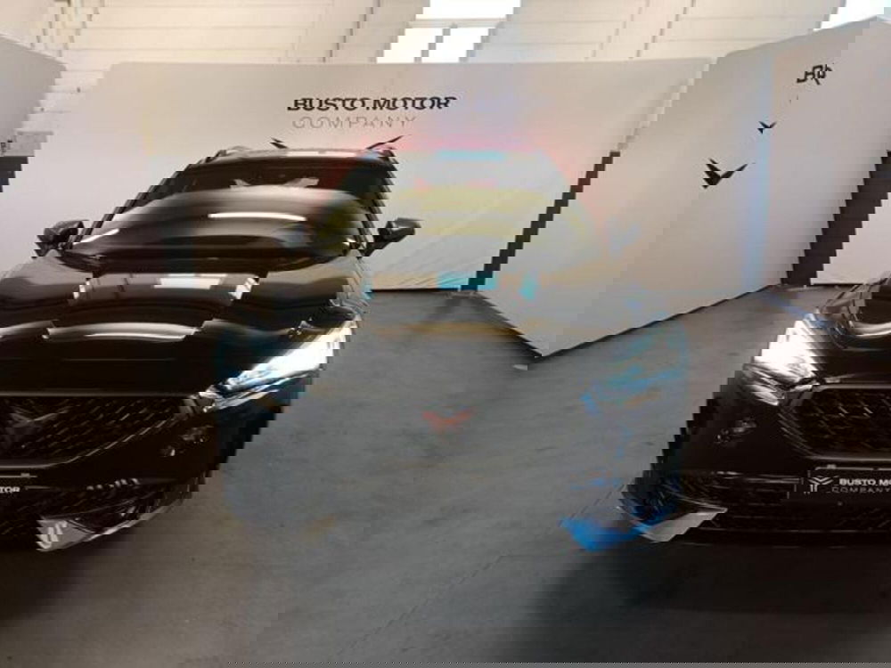 Cupra Formentor usata a Varese (2)