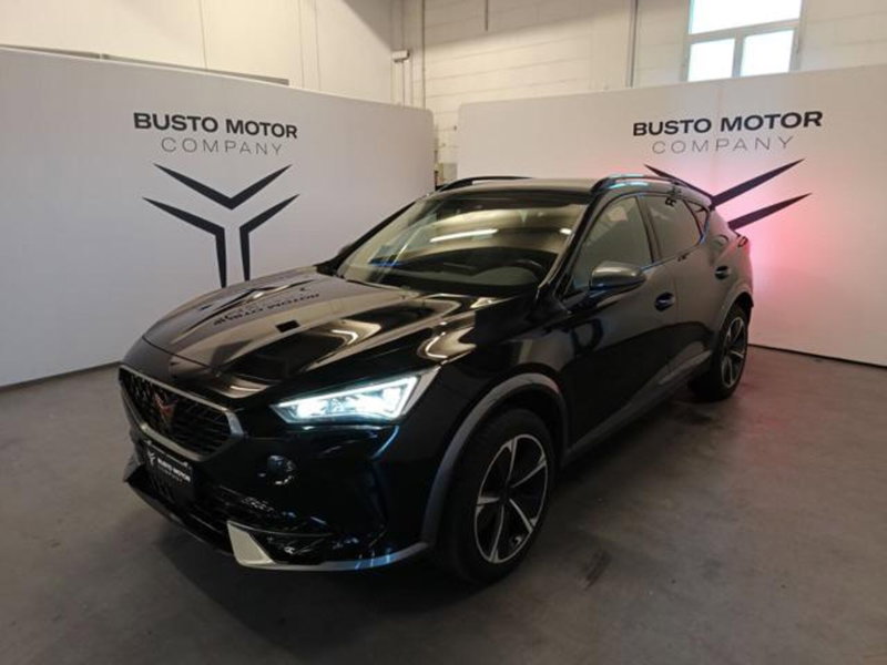 Cupra Formentor usata a Varese (3)