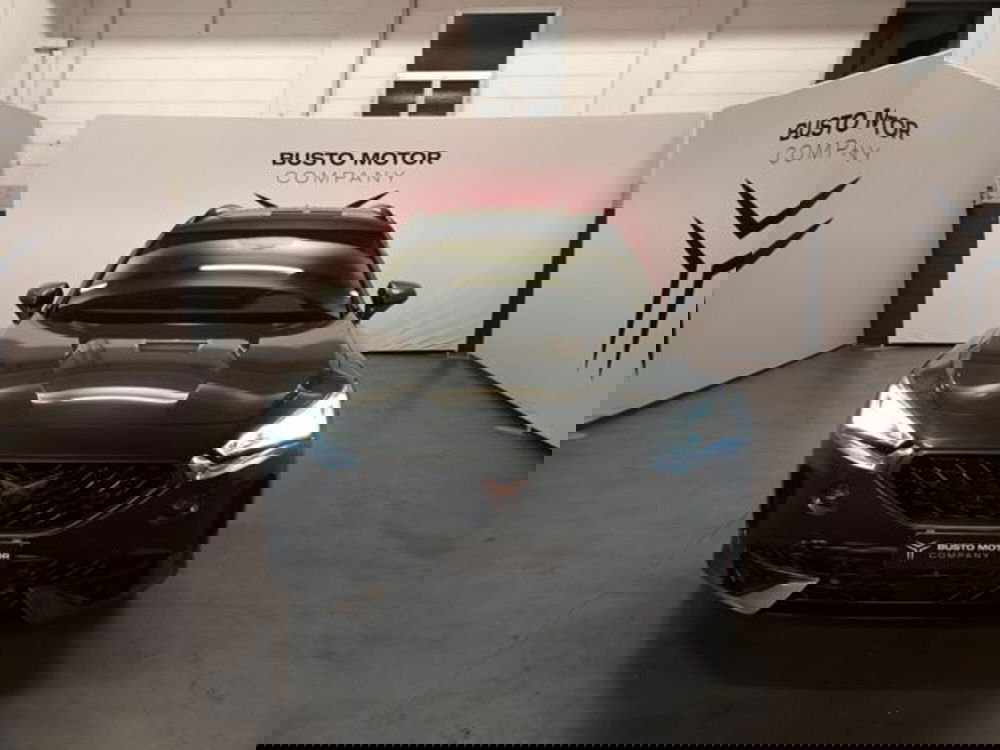 Cupra Formentor usata a Varese (2)